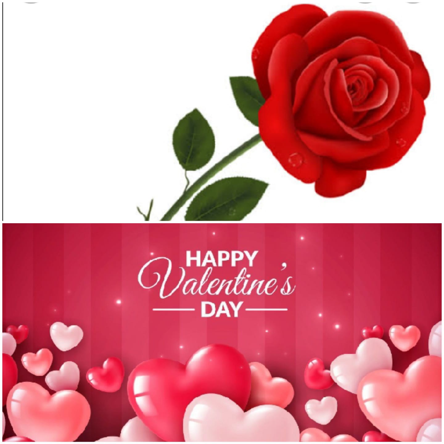HAPPY VALENTINE’S DAY : तेरे-मेरे प्यार की खुशबू गुलाबों में, गुलाबों में भी…