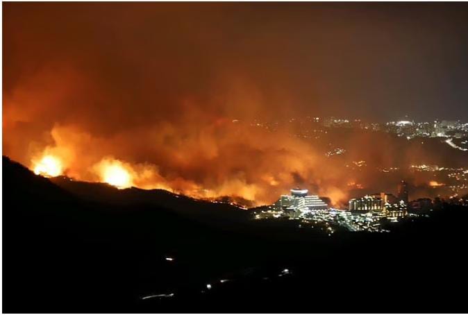 SOUTH KOREA : साउथ ईस्ट के जंगल में एक पहाड़ पर लगी आग तेजी से फैली, 180 घर…