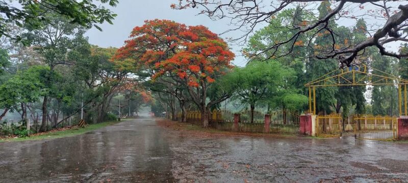 Monsoon Update : झारखंड में अभी फिर से पूरा एक्टिव नहीं हुआ मानसून, आज कहीं तेज तो कहीं हल्की बारिश