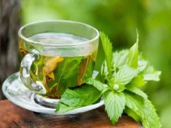 Green Tea, health tips : ग्रीन टी के फायदे अनेक, सेहत के साथ-साथ चेहरे को निखारने में भी है कारगर, जरूर आजमा कर देखें