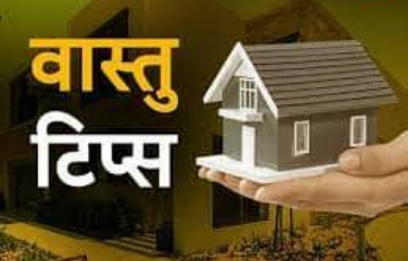 Vastu Tips: नौकरी में नहीं हो रही तरक्की तो वास्तु के इन नियमों को अपना कर देखें