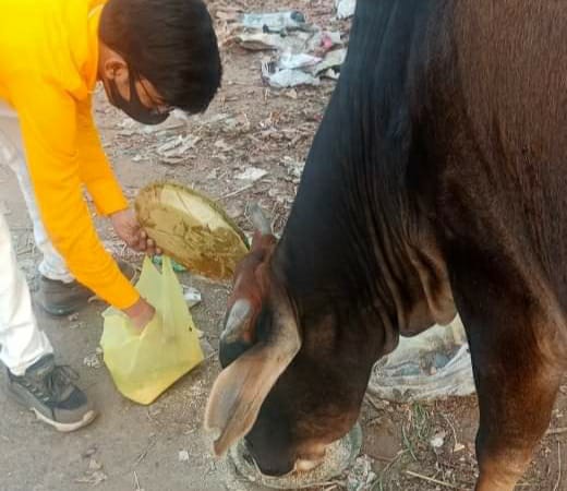 Dharm adhyatm: गोवर्द्धन पूजा के दिन गोवंश और बच्चों को कराया गया भोजन 1 Dharm adhyatm: गोवर्द्धन पूजा के दिन गोवंश और बच्चों को कराया गया भोजन