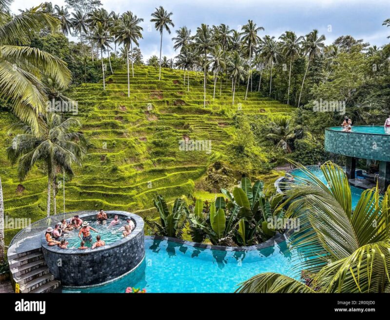 एक बार जरूर घूम आएं: खूबसूरती में लाजवाब है बाली द्वीप ! दुनिया के आकर्षक पर्यटन स्थलों में से है एक
