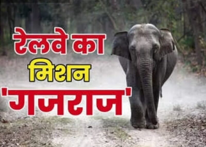 good initiative : जानें ‘गजराज’ तकनीक क्या है, इससे कैसे बचेगी रेलवे ट्रैक पर हाथियों की जान