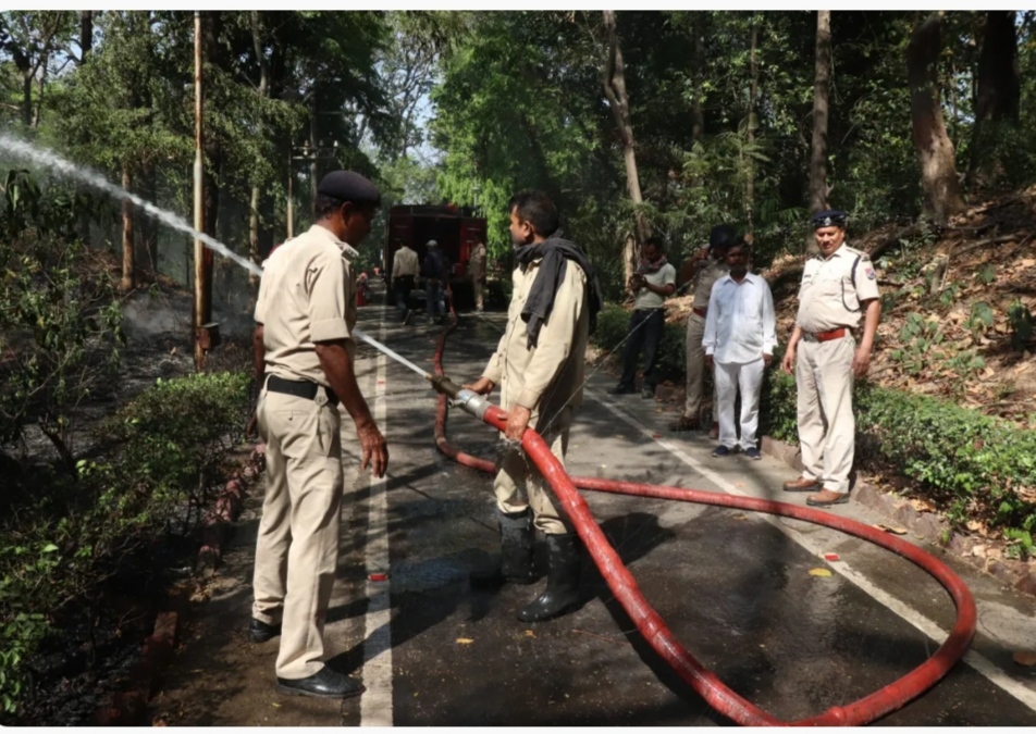 Dhanbad: रेल प्रबंधक के आवास के समीप झाड़ियों में लगी आग