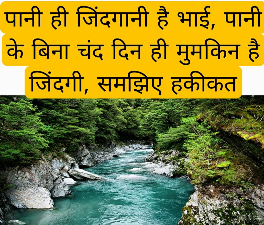 पानी ही जिंदगानी है भाई, पानी के बिना चंद दिन ही मुमकिन है जिंदगी, समझिए हकीकत