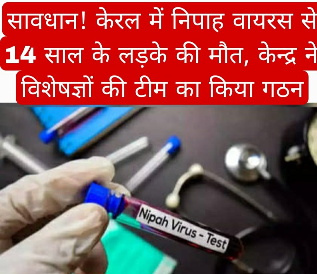 सावधान! केरल में निपाह वायरस से 14 साल के लड़के की मौत, केन्द्र ने विशेषज्ञों की टीम का किया गठन