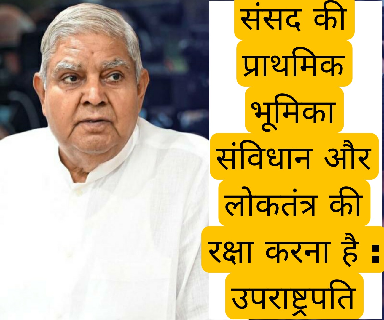 संसद की प्राथमिक भूमिका संविधान और लोकतंत्र की रक्षा करना है : उपराष्ट्रपति