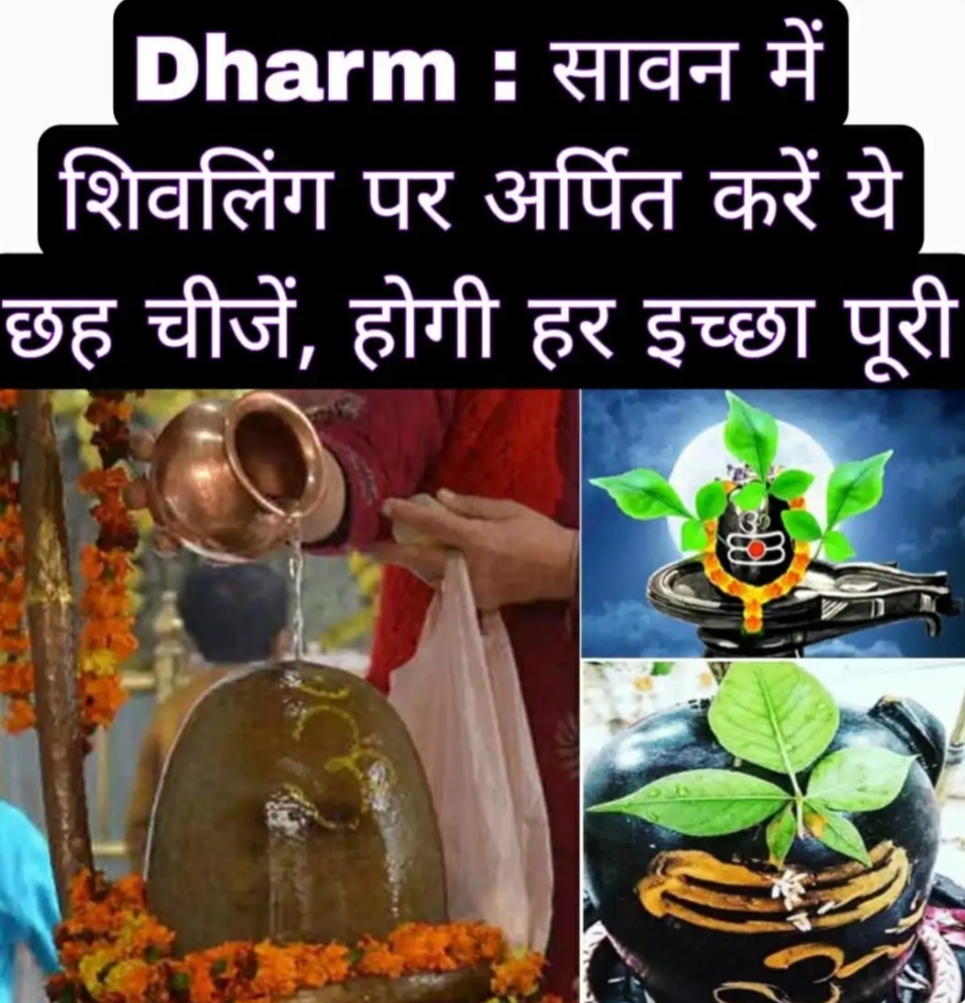 Dharm : सावन में शिवलिंग पर अर्पित करें ये छह चीजें, होगी हर इच्छा पूरी