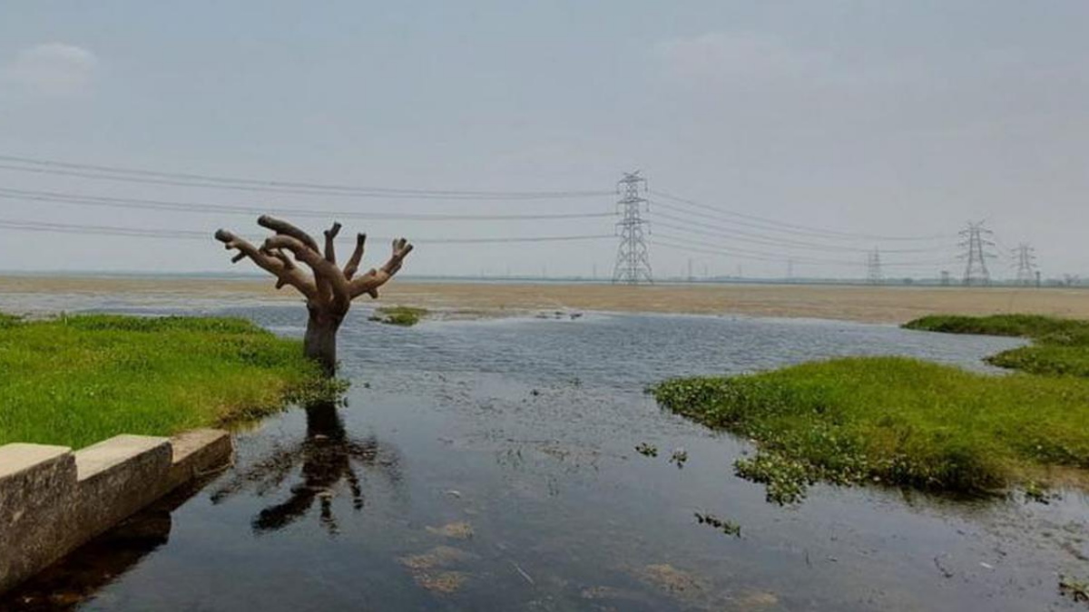 उत्तर प्रदेश में सुरहा ताल से लेकर बाबा बालेश्वर नाथ मंदिर तक ; एक से बढ़ कर एक हैं ऐतिहासिक धरोहर