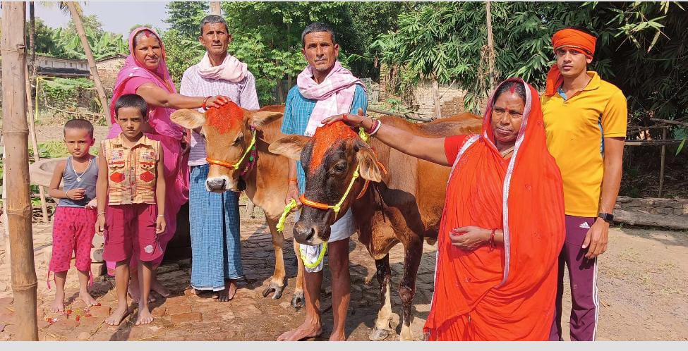 सहरसा में धूमधाम से हुई गोवर्धन पूजा, श्रद्धालुओं ने मांगा सुख-समृद्धि का आशीर्वाद