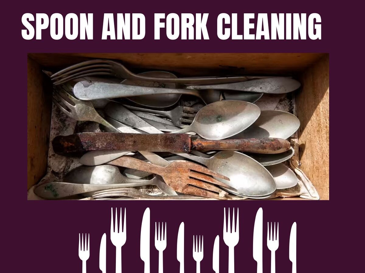 Spoon And Fork: स्टील के कांटे और चम्मच में लग गई है जंग, बिना परेशान हुए इसे ऐसे चमकाएं