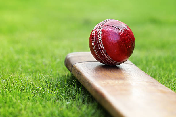 close up of red cricket ball and bat sitting on grass