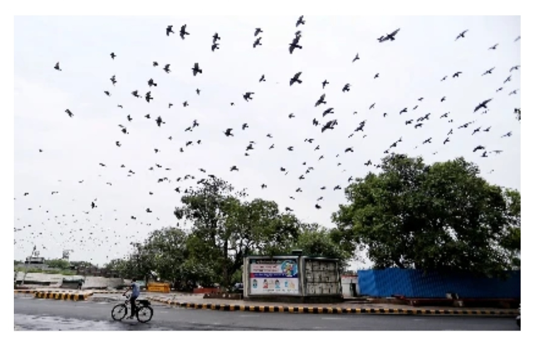 तेज हवा और बारिश के कारण दिल्ली की आबोहवा हुई दुरुस्त, तीन साल में सबसे कम स्तर पर पहुंचा AQI