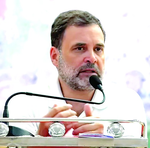 आगामी दिनों में जिला संगठन के माध्यम से पार्टी चुनावों में उम्मीदवार उतारेगी : राहुल