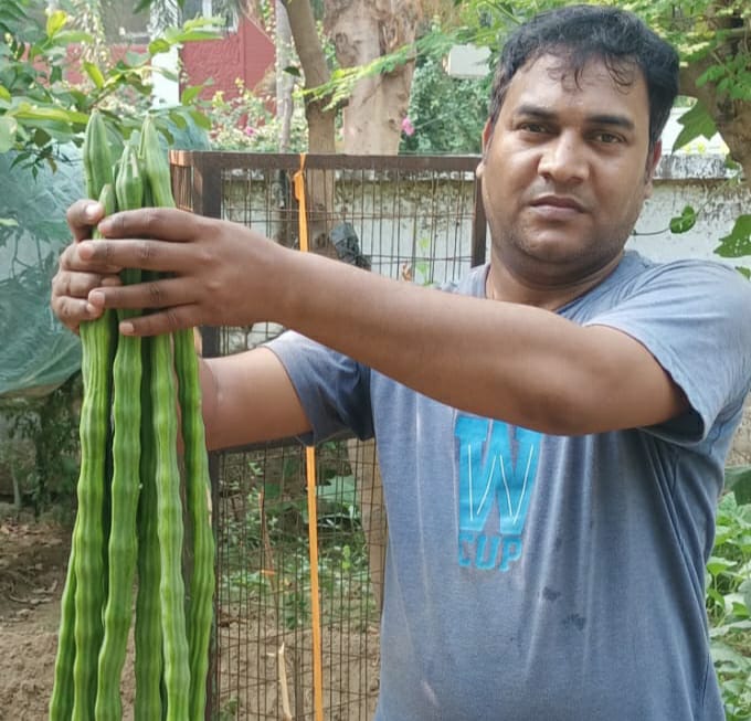 सहजन मतलब सेहत का पॉवर हाउस, मोदी और योगी आदित्यनाथ भी हैं इसके मुरीद 95 सहजन मतलब सेहत का पॉवर हाउस, मोदी और योगी आदित्यनाथ भी हैं इसके मुरीद