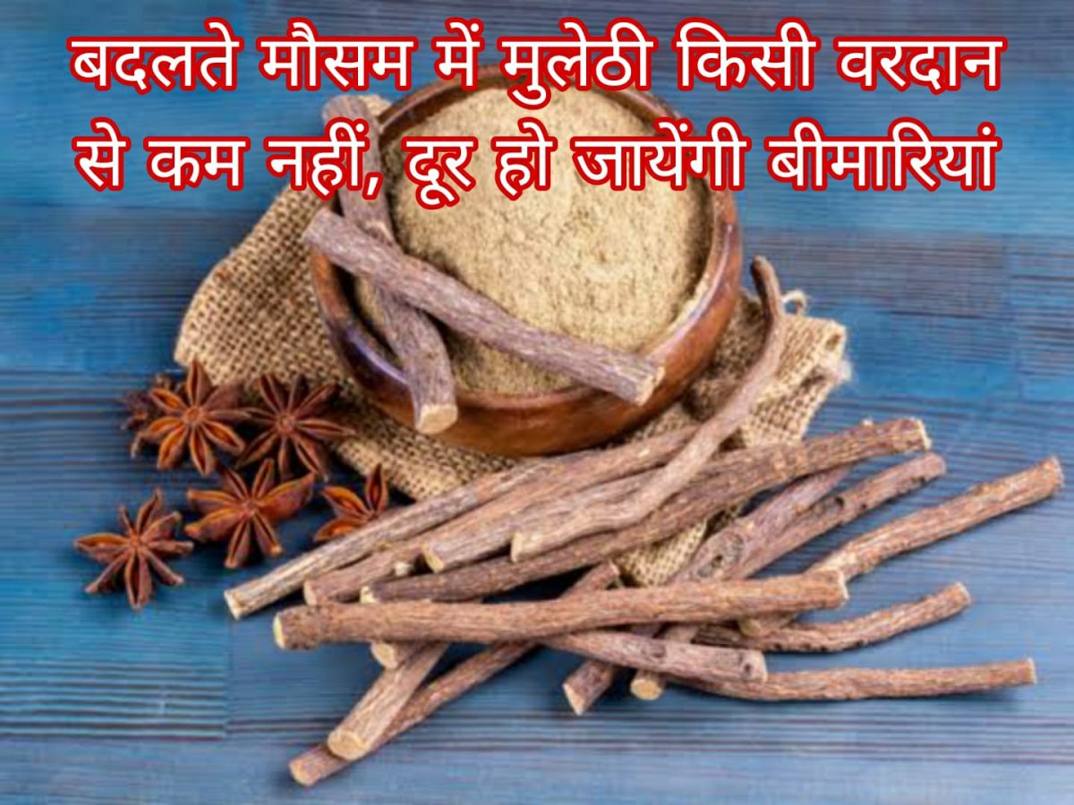 बदलते मौसम में मुलेठी किसी वरदान से कम नहीं, दूर हो जायेंगी बीमारियां