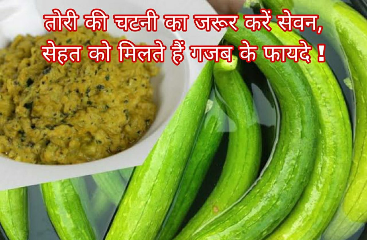 तोरी की चटनी का जरूर करें सेवन, सेहत को मिलते हैं गजब के फायदे! 93 तोरी की चटनी का जरूर करें सेवन, सेहत को मिलते हैं गजब के फायदे!