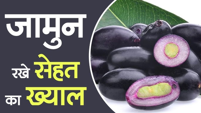 जामुन खाएं और सेहत पाएं : आपने जामुन नहीं खाया तो क्या खाया, आपकी सेहत के लिए है बेहद उपयोगी 91 जामुन खाएं और सेहत पाएं : आपने जामुन नहीं खाया तो क्या खाया, आपकी सेहत के लिए है बेहद उपयोगी